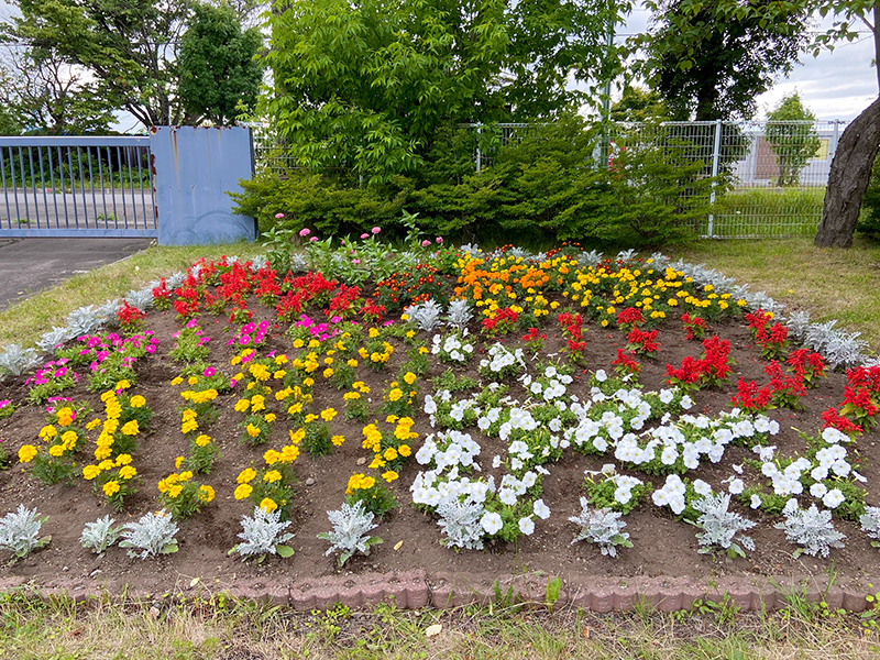 こどもくらぶ花壇
